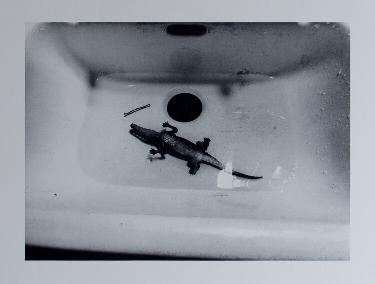 Lothar Baumgarten - Caiman, 1970 - 1978 - Offsetdruck