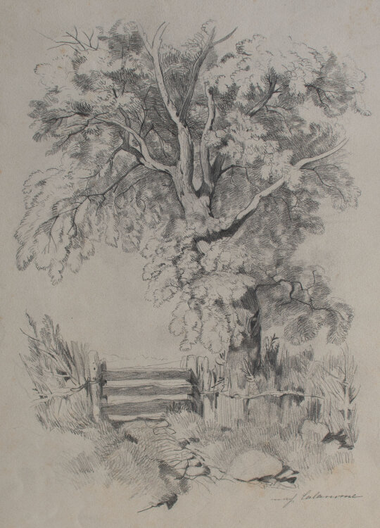Nevina Radakovic - Baumstudie mit Gatter - 1880 - Bleistift