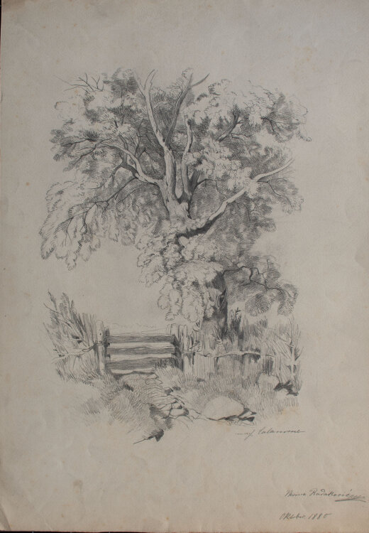 Nevina Radakovic - Baumstudie mit Gatter - 1880 - Bleistift