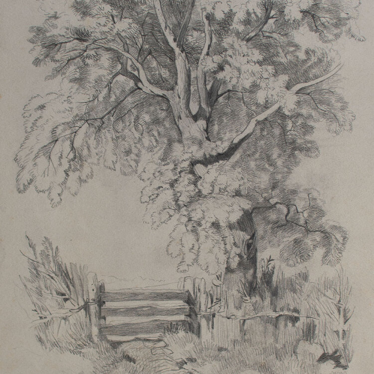 Nevina Radakovic - Baumstudie mit Gatter - 1880 - Bleistift