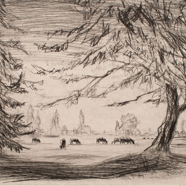 Walther Klemm - Viehweide II - o.J. - Kaltnadelradierung auf Velin