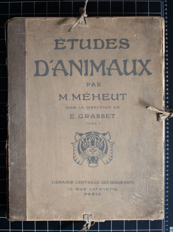 Mathurin Méheut - Etudes dAnimaux - 1911 - Druckgrafik