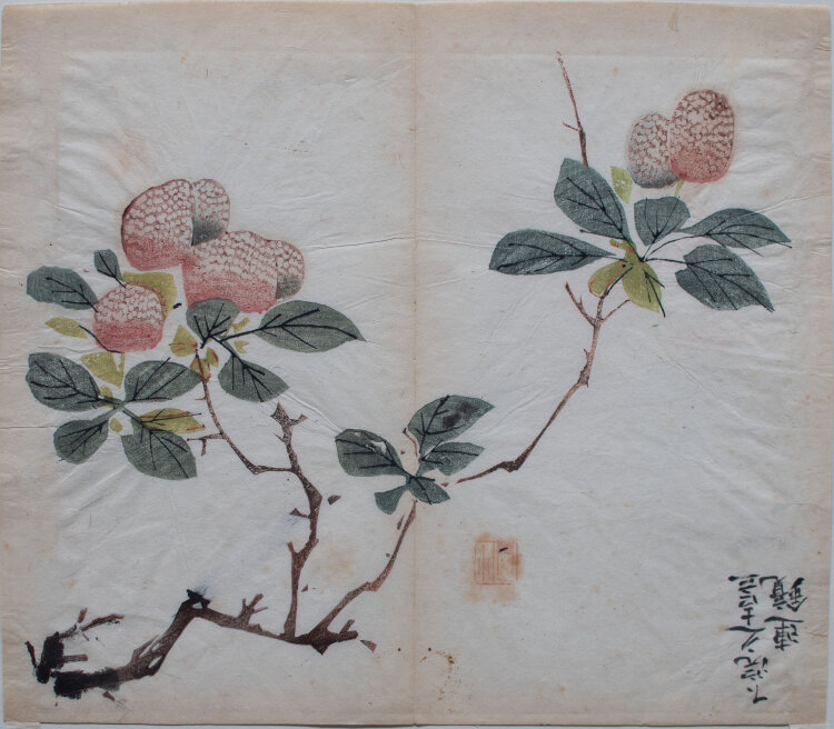 Yen Hu Cheng - Kirschblüte aus: Zehnbambushalle (Shizhuzhai shuhuapu) - o.J. - Farbholzschnitt