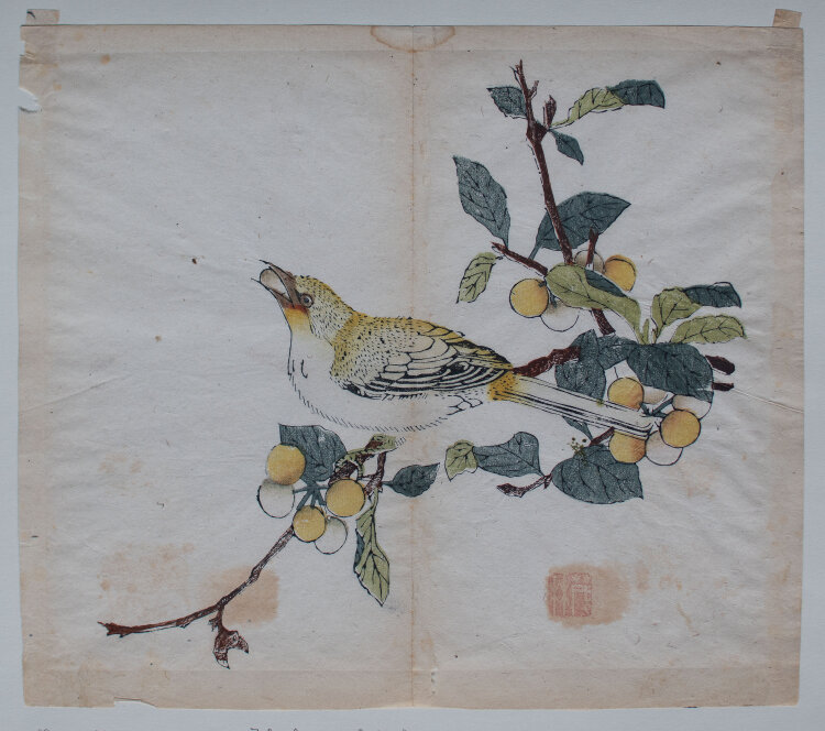 Yen Hu Cheng - Vogel aus: Zehnbambushalle (Shizhuzhai shuhuapu) - o.J. - Farbholzschnitt