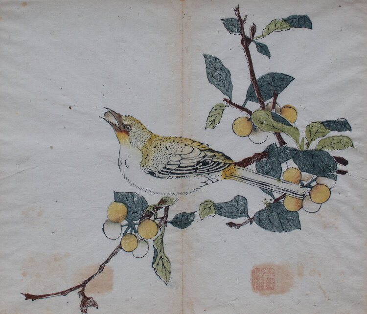 Yen Hu Cheng - Vogel aus: Zehnbambushalle (Shizhuzhai shuhuapu) - o.J. - Farbholzschnitt