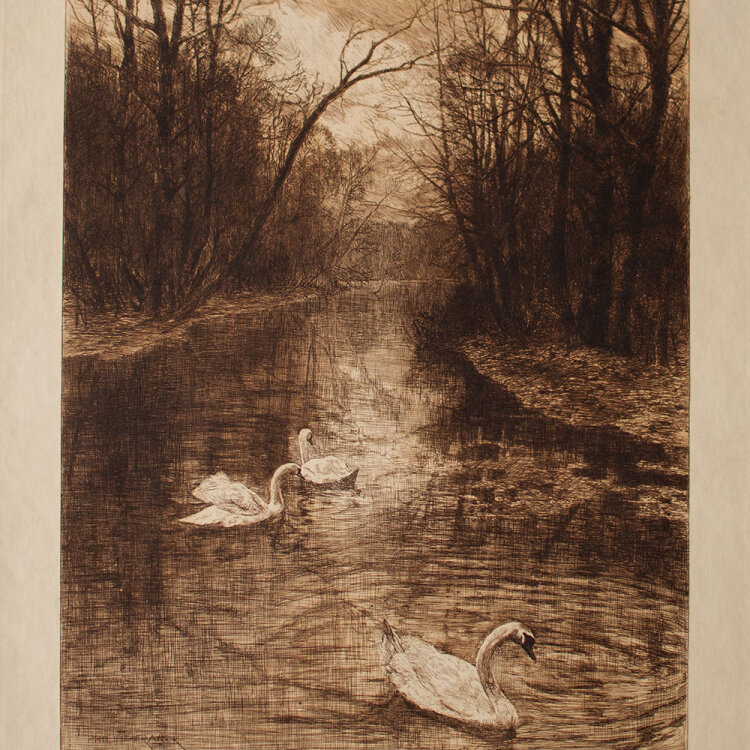 Philipp Franck - Schwäne im Tiergarten im Winter -...