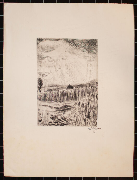 Berthold Martin Herko - Landschaft mit Wiesen und Feldern - 1927 - Radierung auf leichtem Karton