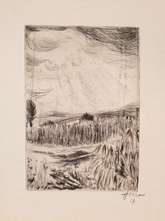 Berthold Martin Herko - Landschaft mit Wiesen und Feldern - 1927 - Radierung auf leichtem Karton