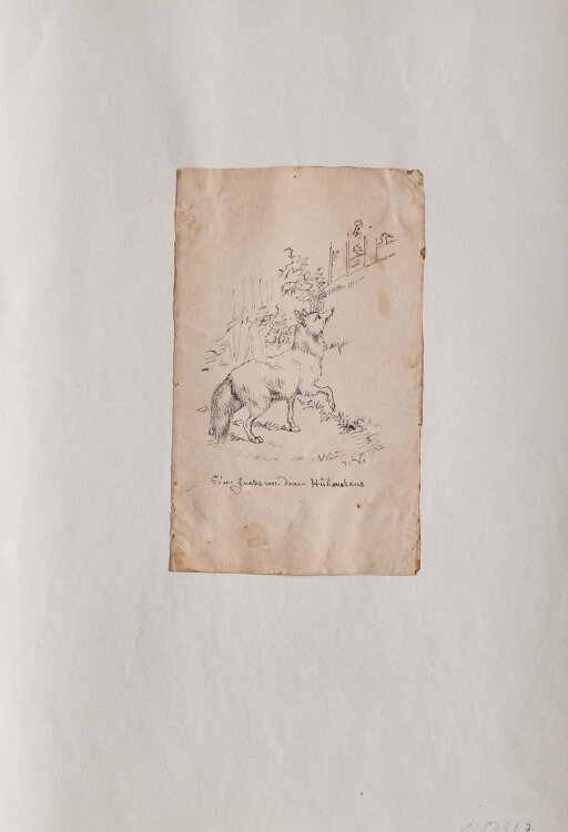 Joseph Simon Volmar - Ein Fuchs vor dem Hühnerhaus - Tuschezeichnung - 1840