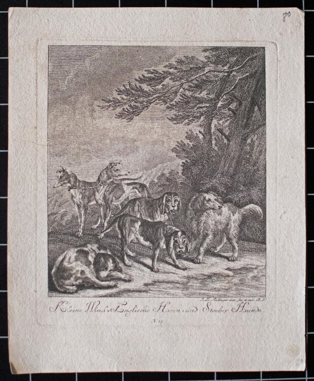 Johann Elias Ridinger - Kleine Wind-Englische Hasen- und Stoeber Hunde - o.J. - Kupferstich