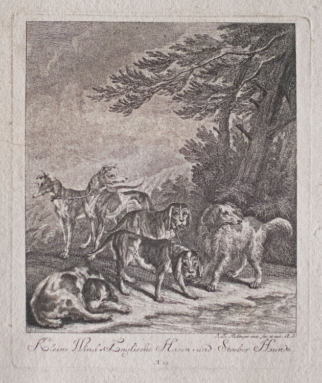 Johann Elias Ridinger - Kleine Wind-Englische Hasen- und Stoeber Hunde - o.J. - Kupferstich