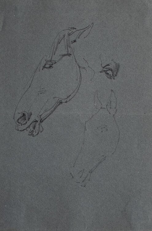 Theodor Volmar - Pferdestudie - Bleistiftzeichnung - o. J.