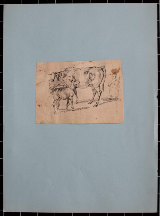 Joseph Simon Volmar - Kuh und Ziege - Bleistiftzeichnung - o.J.