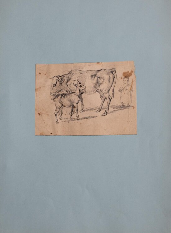 Joseph Simon Volmar - Kuh und Ziege - Bleistiftzeichnung - o.J.