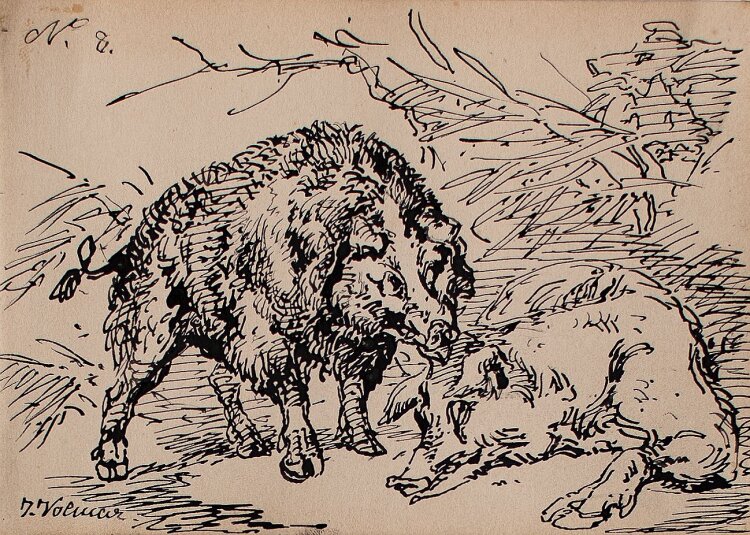 Joseph Simon Volmar - Wildschweine - Tuschezeichnung - o. J.
