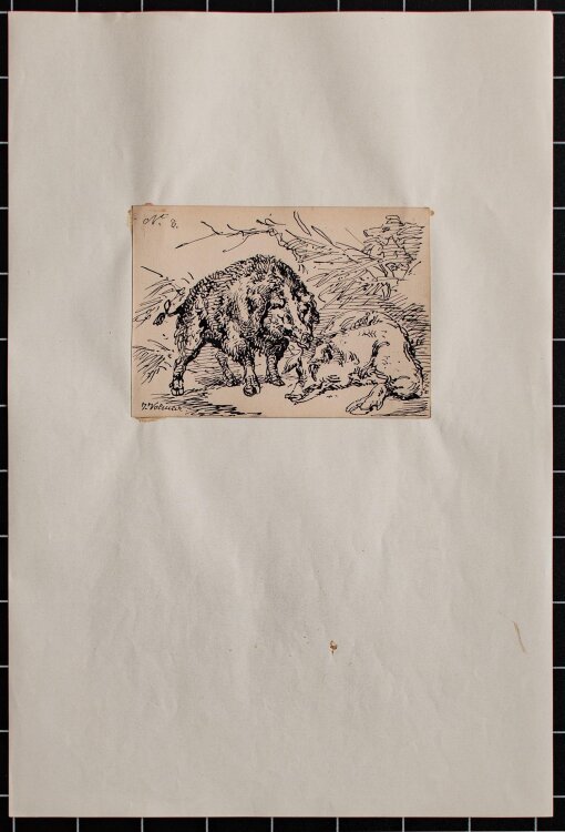 Joseph Simon Volmar - Wildschweine - Tuschezeichnung - o. J.