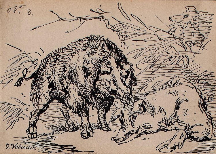 Joseph Simon Volmar - Wildschweine - Tuschezeichnung - o. J.