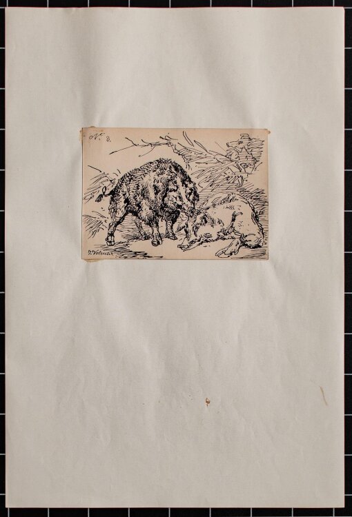 Joseph Simon Volmar - Wildschweine - Tuschezeichnung - o. J.