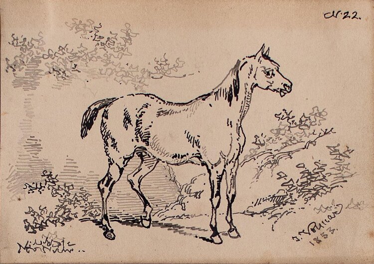 Joseph Simon Volmar - Pferd - Tuschezeichnung - 1853