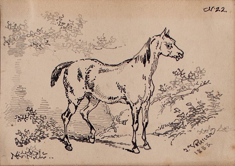 Joseph Simon Volmar - Pferd - Tuschezeichnung - 1853