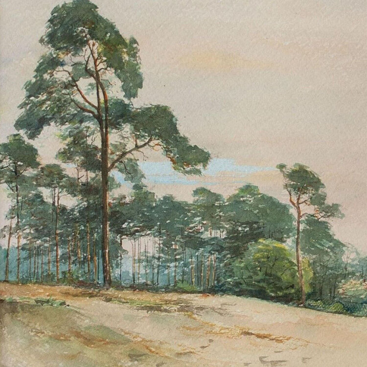 unbekannt - Strandkiefern im Wind - o.J. - Aquarell