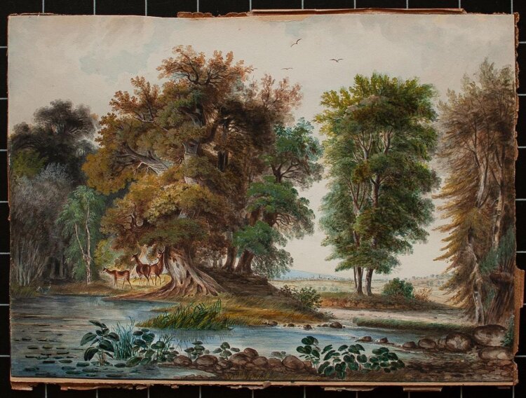 Johann Poppel? - Landschaft mit Rehen - o.J. - Aquarell
