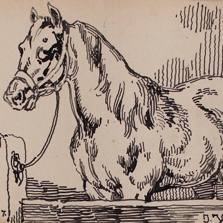 Joseph Simon Volmar - Pferd - Tuschezeichnung - 1852
