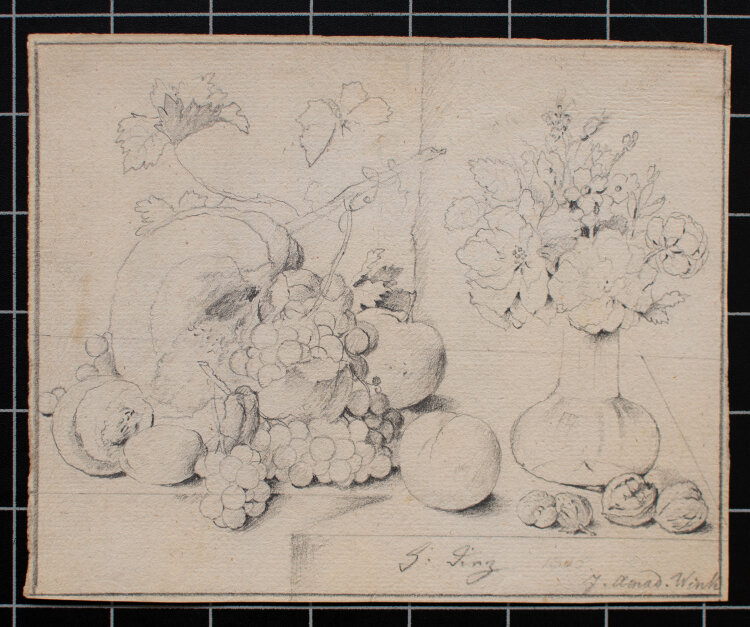 Johann Amandus Winck nach - Stillleben mit Kürbis - 1805 - Bleistiftzeichnung auf Büttenpapier mit Wasserzeichen