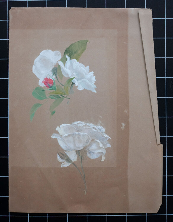 unbekannt - Rosenblüten - ohne Jahr - Aquarell auf...