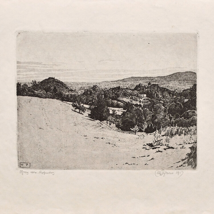 Max von Scherer - Graz vom Rosenberg - 1917 - Radierung...