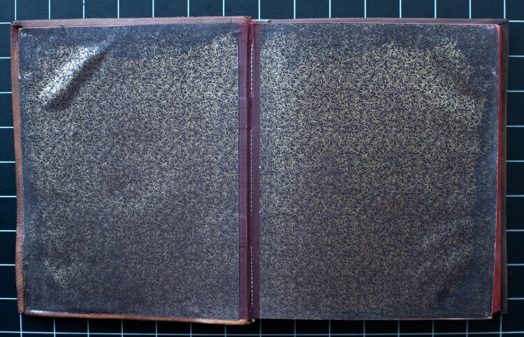 Ferdinand von Brakenhausen - Stammbuch des Medailleurs und preuß. Regierungsrates Ferdinand von Brakenhausen mit frontal applizierter bronzener Porträtmedaille und Eckenornamenten, auf der Innenseite mit eigenhändiger Widmung und rotem Lacksiegel. - nach