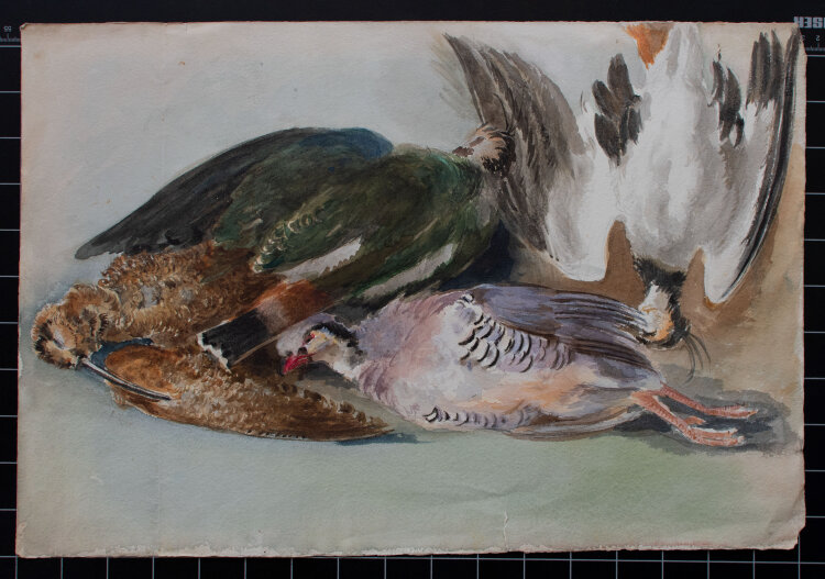 unbekannt - Stillleben mit Vögeln - ca. 1890 -...