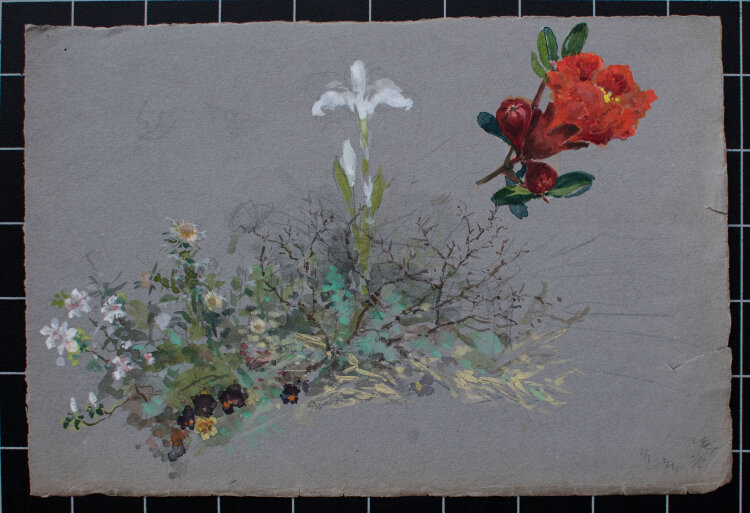 unbekannt - Blumenstudie - undatiert - Aquarell auf...