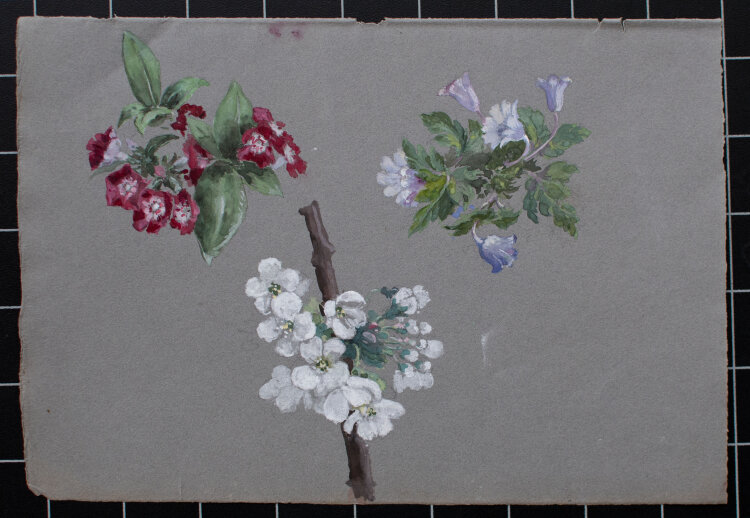 unbekannt - Kirschblüten - undatiert - Aquarell auf...