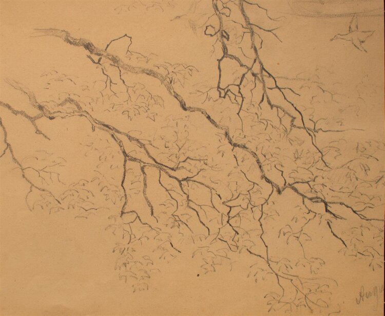 Eugen Reich-Münsterberg - Baum- und Ornamentstudie - undatiert - Bleistift