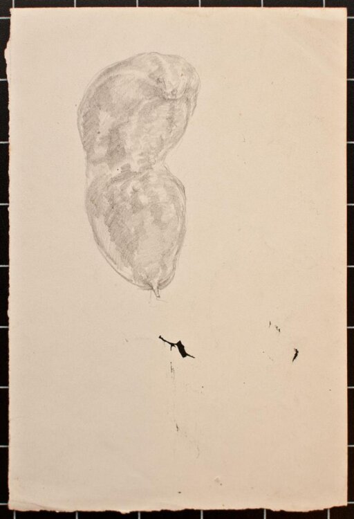 Bruno Héroux - Zucchini, Vorstudie - o.J. - Bleistift