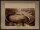 Giacomo Brogi - Anfiteatro, Pompeji - Fotografie - 19. Jh.