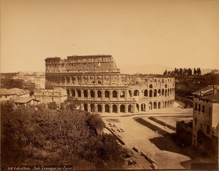 Fratelli Alinari - Colosseo dal Tempio in Pace - o.J. - Fotografie