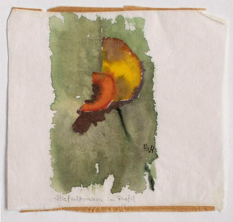 Herbert W. Hoedt - Pflanzenstudie/ Stiefmütterchen im Profil - Aquarell - o. J.