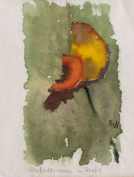Herbert W. Hoedt - Pflanzenstudie/ Stiefmütterchen im Profil - Aquarell - o. J.