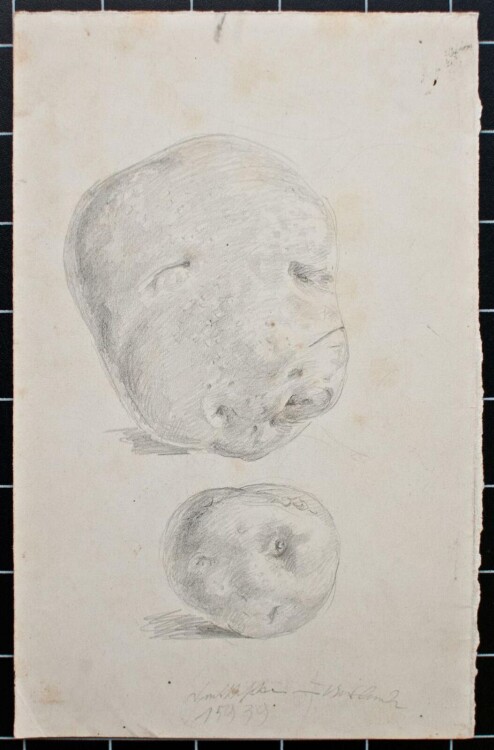 Bruno Héroux - Kartoffeln - o.J. - Bleistift