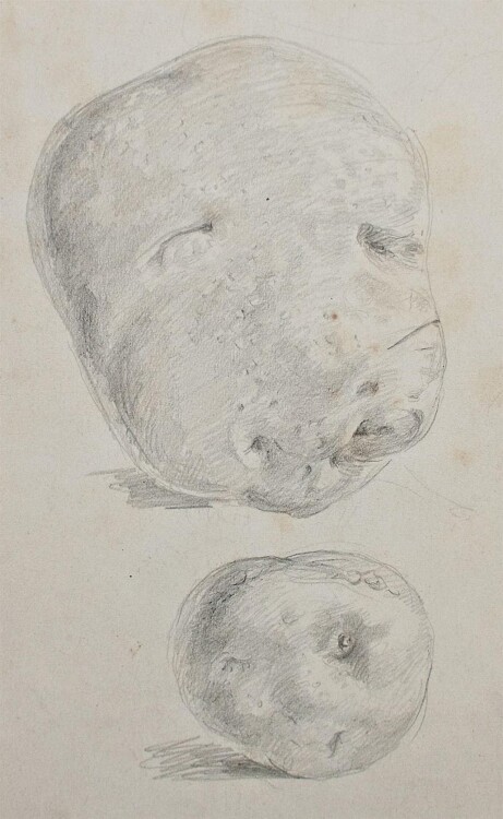 Bruno Héroux - Kartoffeln - o.J. - Bleistift