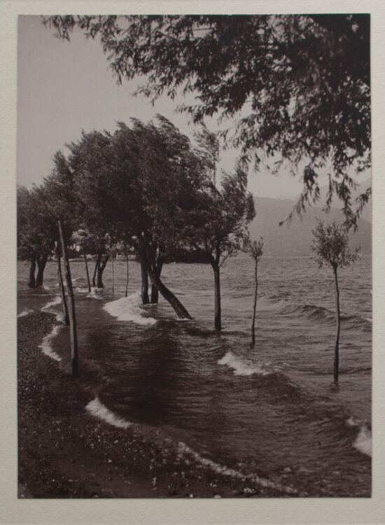unbekannt - Sturmwetter - undatiert - Fotografie, Abzug