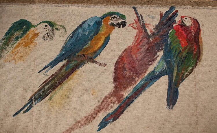 Clara Hesse - Papageien/ Vogelstudie - undatiert - Öl