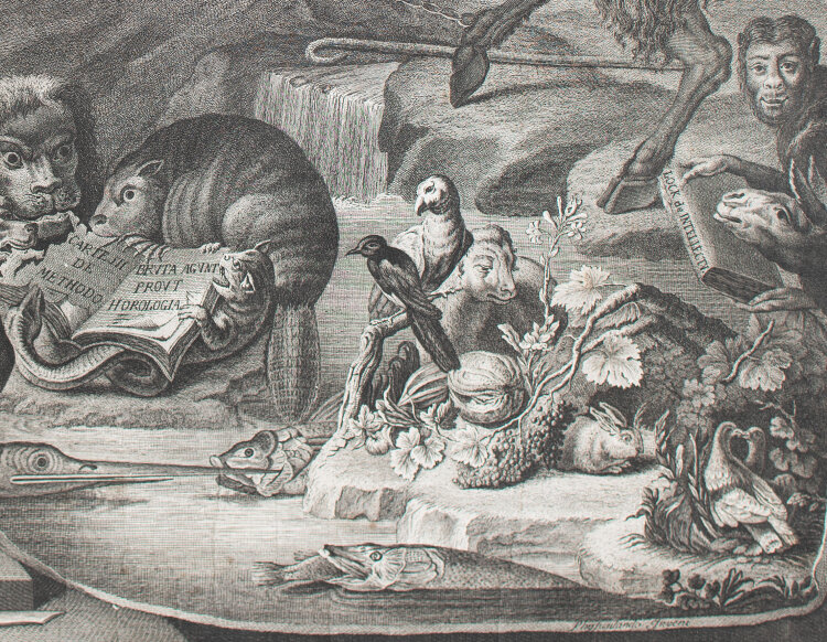 Christoforo dall Acqua - Vita mundi et oeconomia / Tabula Rivieriana Quarta - 1776 - Radierung