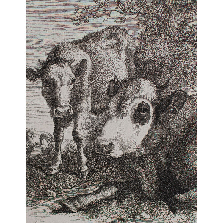 Francesco Londonio - Kuh mit Kalb und Schafen - undatiert - Radierung