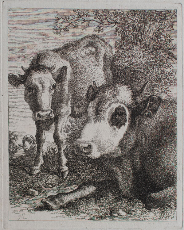Francesco Londonio - Kuh mit Kalb und Schafen - undatiert - Radierung