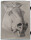 FW. Palm - Pferd mit Trense - 1871 - Bleistift