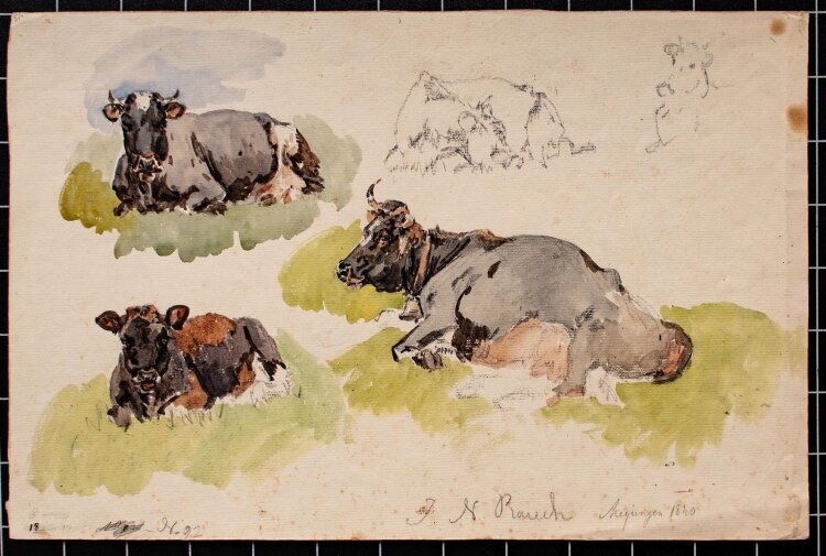 Johann Nepomuk Rauch - Tierstudie - 1840 - Aquarell