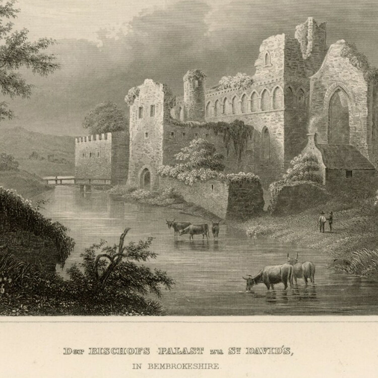 unbekannt - Der Bischofs Palast zu St. Davids. - o.J., Radierung